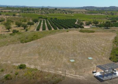 Vista superior campo de ValenciaueloEagleDron escuela piloto de drones valencia
